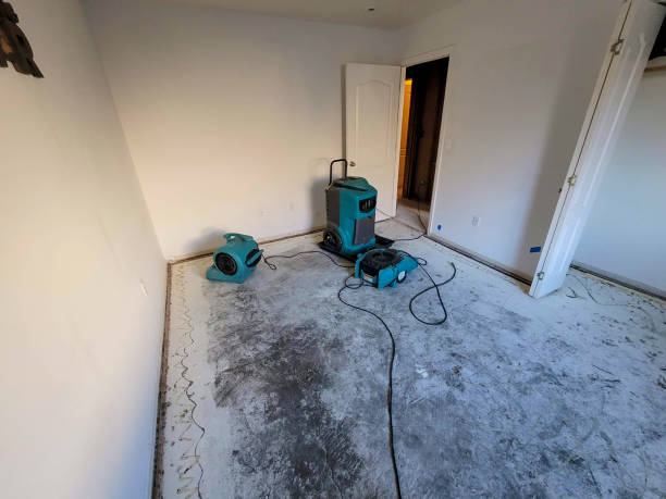Best Flood restoration services  in Pickerington, OH
