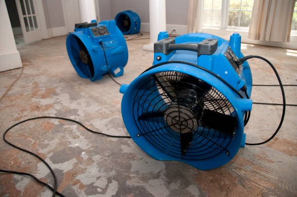 Best Water damage restoration near me  in Pickerington, OH
