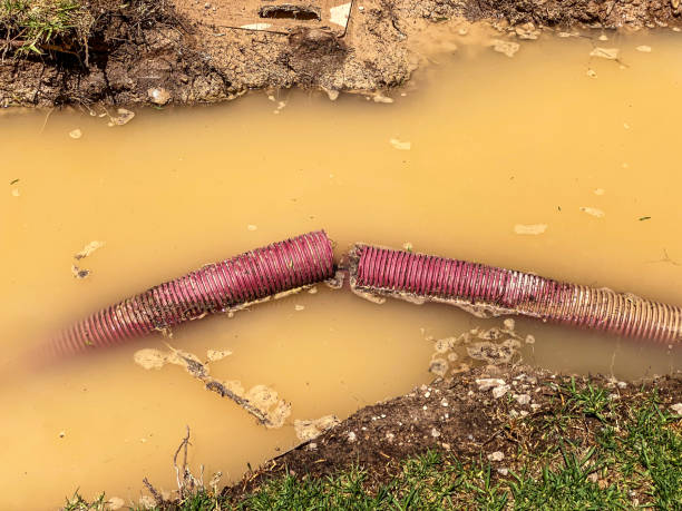 Best Residential water damage restoration  in Pickerington, OH